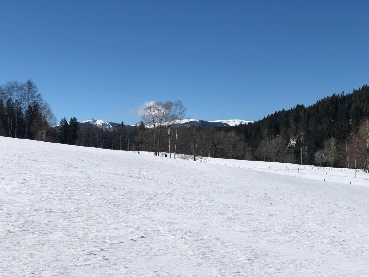 Gaestehaus Lickert Ferienwohnung Sued Feldberg ヒンターツァルテン エクステリア 写真