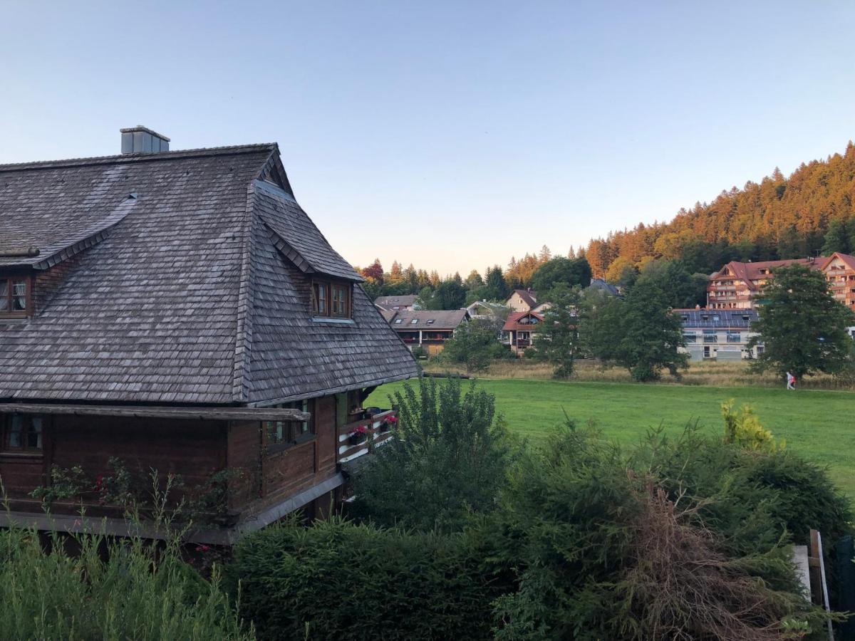 Gaestehaus Lickert Ferienwohnung Sued Feldberg ヒンターツァルテン エクステリア 写真