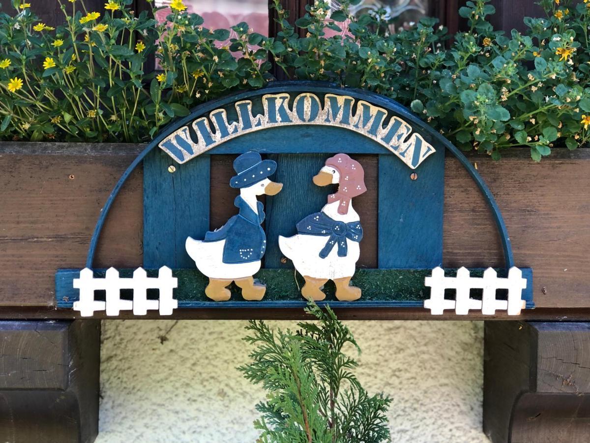 Gaestehaus Lickert Ferienwohnung Sued Feldberg ヒンターツァルテン エクステリア 写真