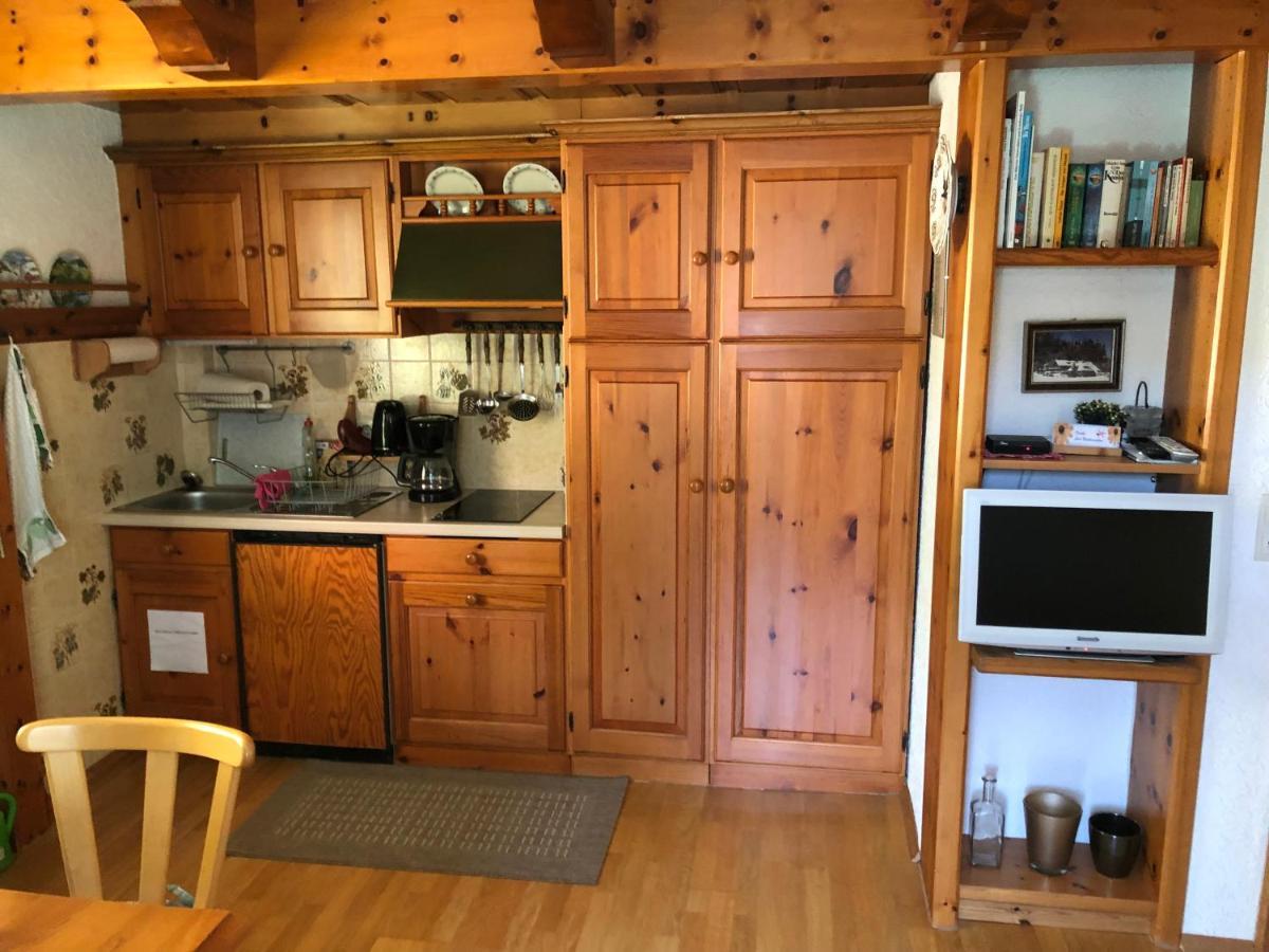 Gaestehaus Lickert Ferienwohnung Sued Feldberg ヒンターツァルテン エクステリア 写真